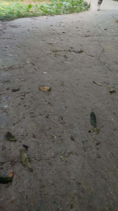 SCHONYLT52PC_Middle_School_Bhawanipur_ChIJi-ls8wcg8jkRogq7-pivPyM_3