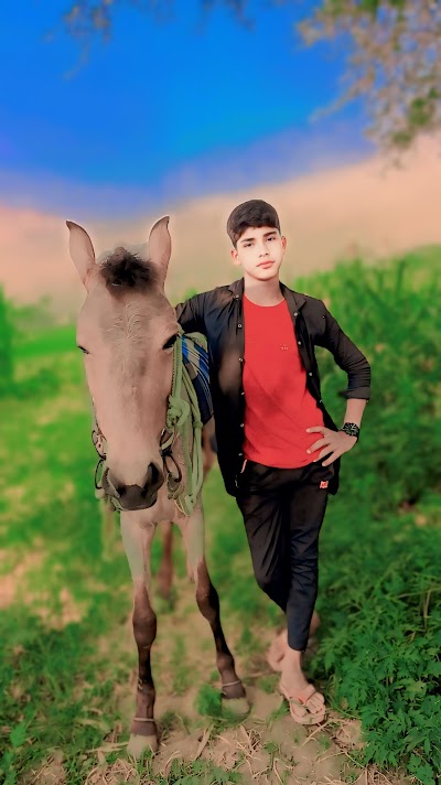 SCHOQ3IC9ZX1_Primary_School_Basauna_Pipariya_ChIJ_0L2aAAZ8jkRIL_2f_5rg7c_1