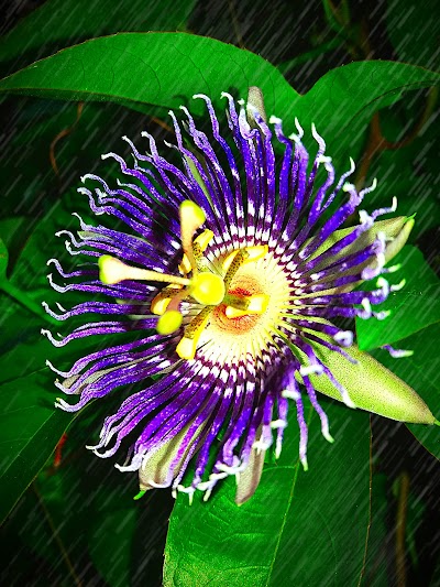 SCHOQ9L0N1K9_New_delhi_public_school_ChIJvadUBJAf8jkRsRNJDBX7xzM_3