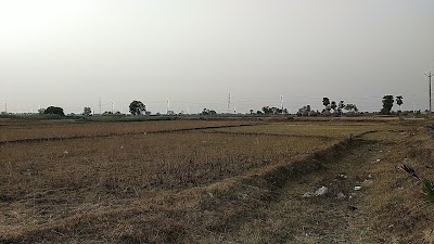 SCHORDP4LW4K_Red_Rose_Public_School_Sandha_ChIJE4MX_xck7TkRXcysUpJgkFU_1