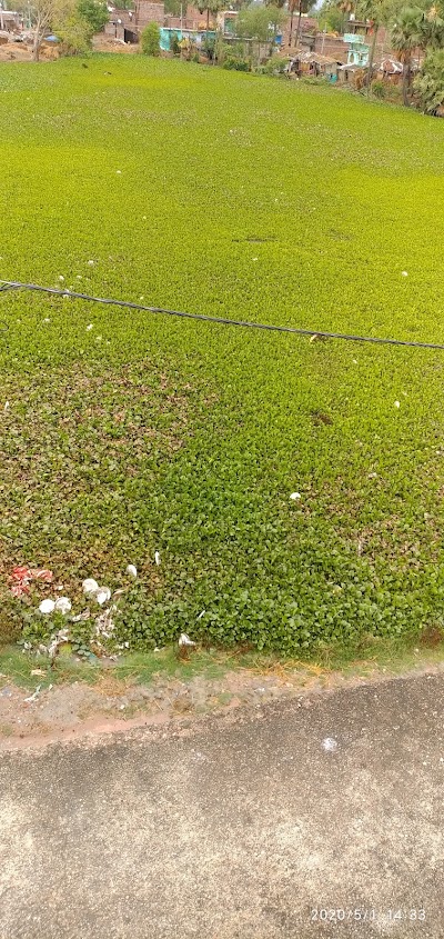 SCHOT17ED6D2_Middle_School_Lahna_ChIJe32t4Pg38jkRoyKf80psmsM_5