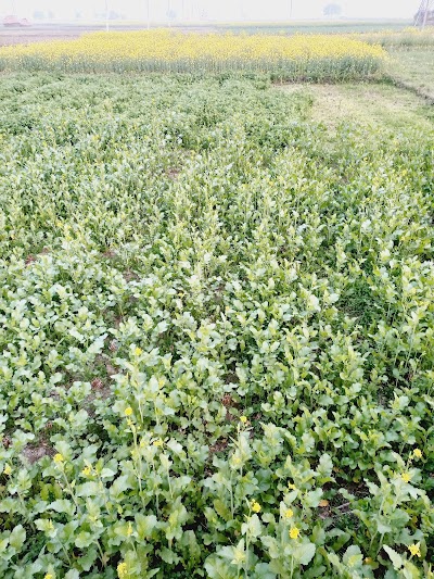 SCHOWQFNQT2T_Rata_Middle_School_ChIJ1THf5QIw8jkRGVpFBmqrMpM_6