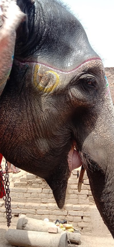 STATI2YZCV5Z_Gulshan_kirana___Cyber_world_ChIJmRiLlMYh8jkRTQp4beVdjzk_4