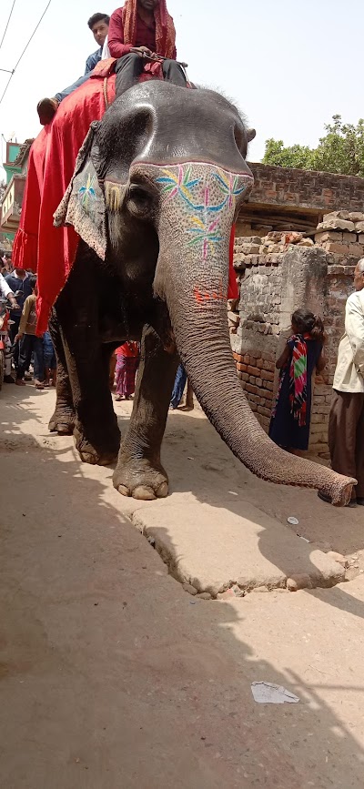 STATI2YZCV5Z_Gulshan_kirana___Cyber_world_ChIJmRiLlMYh8jkRTQp4beVdjzk_5