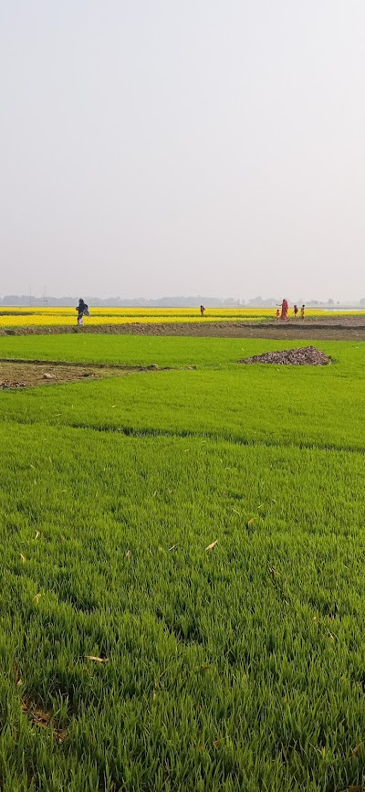 SUPEAKZ4YE4B_CHHOTU_KIRANA_STORE__BHOLA_SAW__ChIJg6dqtMU78jkRUdtdrpYSOl8_2