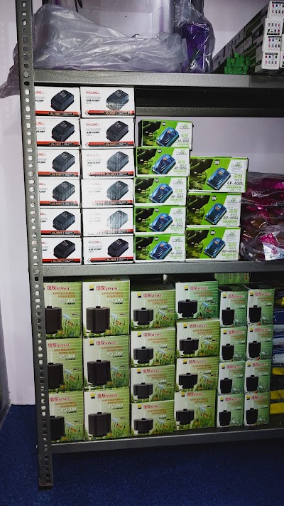 SUPER29SEE69_Dolphin_Aquarium_ChIJfdeaFqI98jkRqWwzXgf336E_2