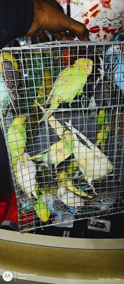 SUPER29SEE69_Dolphin_Aquarium_ChIJfdeaFqI98jkRqWwzXgf336E_8