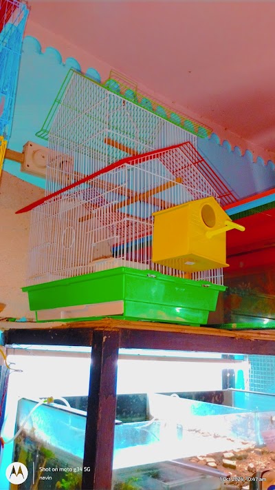 SUPER29SEE69_Dolphin_Aquarium_ChIJfdeaFqI98jkRqWwzXgf336E_9