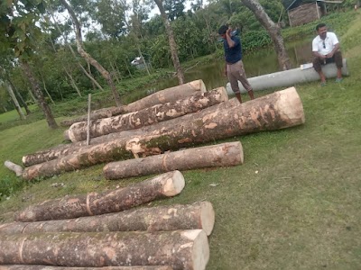 TAXCEAV62YWM_Manju_Timber_works_ChIJtX3TIAAx8jkRA46eJf7fDb0_1