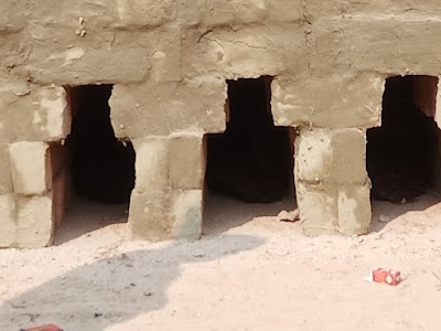 TAXCMRF5JA2G_AARYA_BRICKS_ChIJQ27vpFYT8jkRpzNP-0z7bYk_6