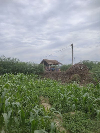 TAXCNTBVQ1PL_Mentha_Oil_Machine_ChIJ59R8t8_38TkR9r1rTjg1ux0_2