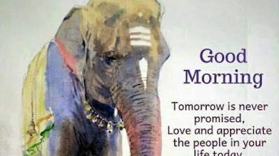 TAXCT5ASI0D9_Aaykar_Samadhan_Kendra_ChIJr1Q4eXxB8jkR-_8p7bXLLgY_1