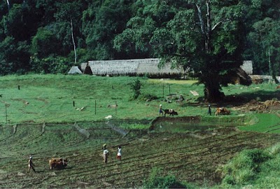 YOGALE92BGSI_Yoga_ANUSANDHAN_KENDRA__AJAY_KUMAR__ChIJNzEErAAb8jkR1BVgqbb2p2Q_1