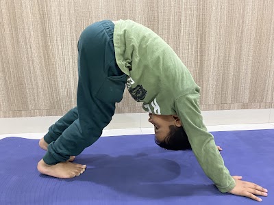 YOGAMDUQ7NHH_Advik_Yoga_ChIJiVkKqTD38TkRkVko_Yc3c6o_10