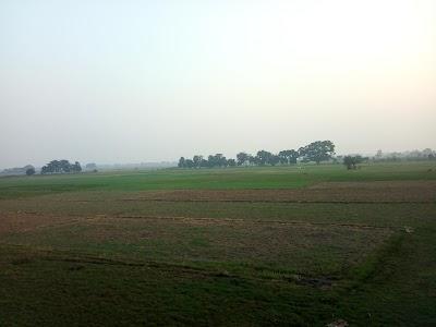 MANFQOKJYWL9_Natraj_Rice_Mills_Pvt_Ltd_ChIJ36E_eO478jkRLzXz0w6GBIU_5