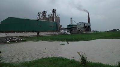 MANFQOKJYWL9_Natraj_Rice_Mills_Pvt_Ltd_ChIJ36E_eO478jkRLzXz0w6GBIU_6